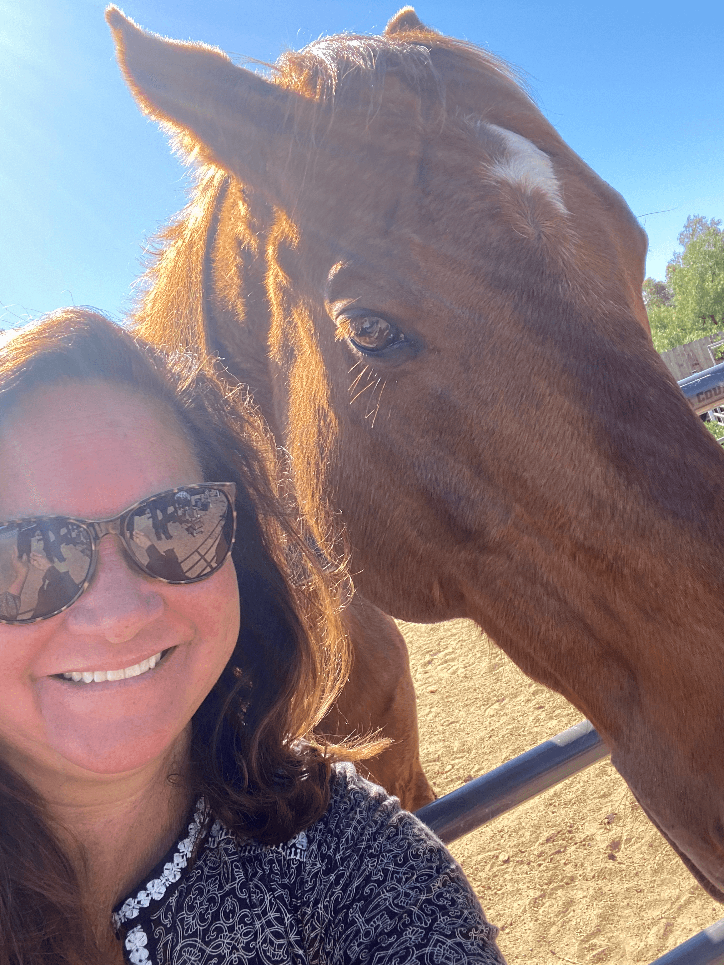 Horse Care