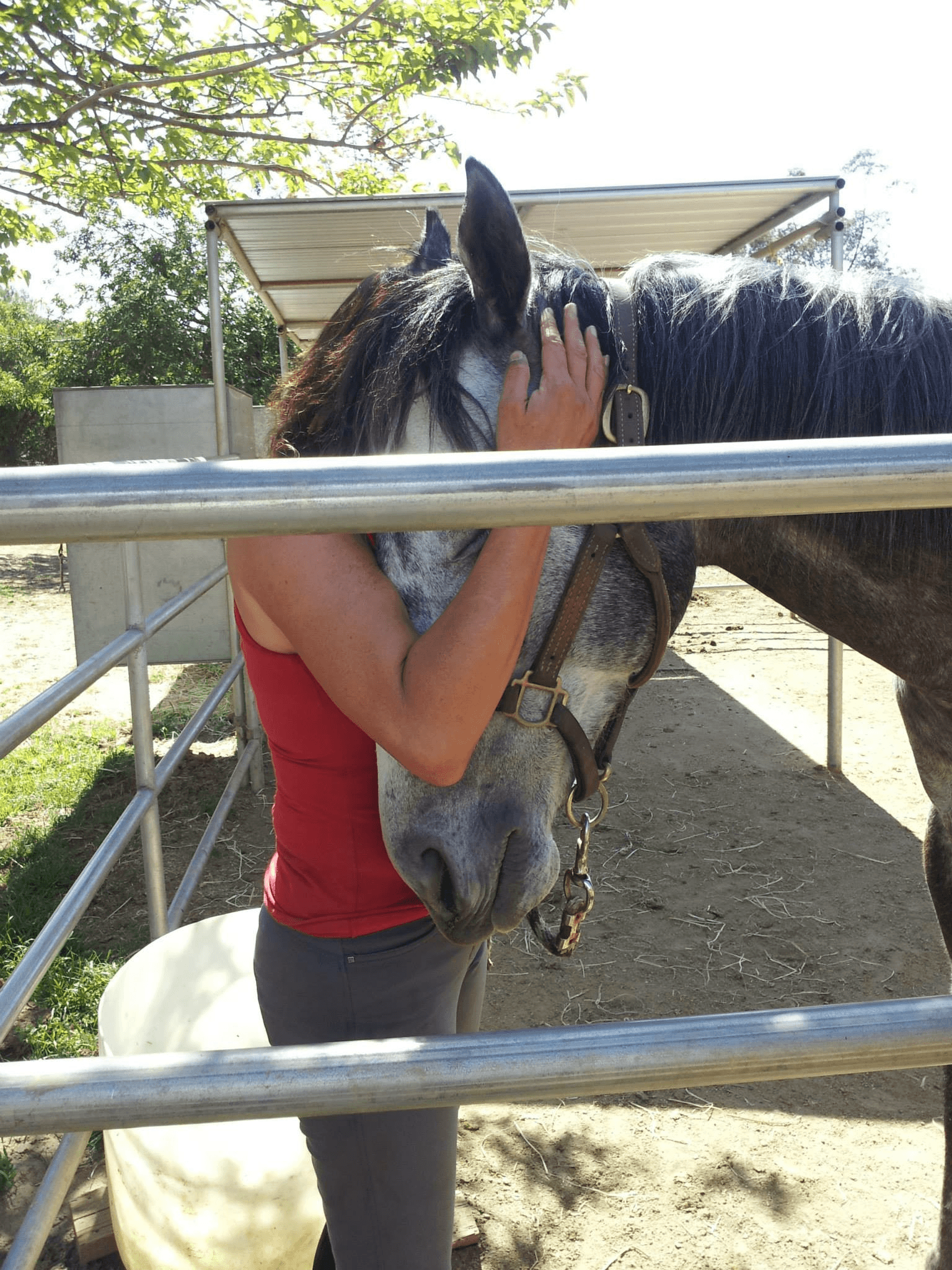 Heather with horse